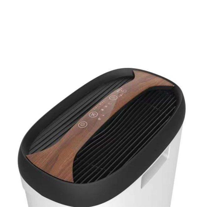 Air Purifier for Home