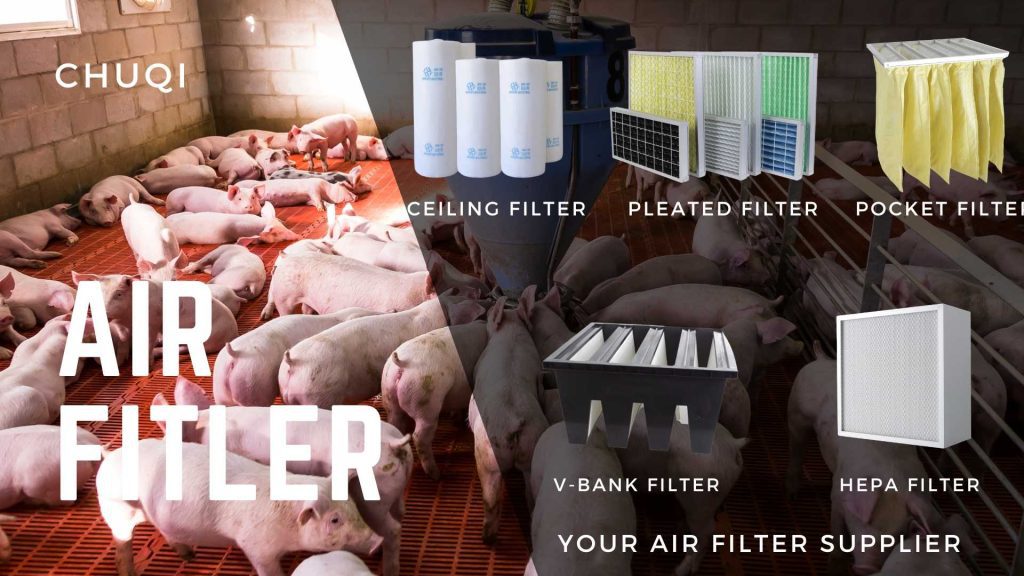 Chuqi Air Filter | Why Do Pig Farms Need Air Filters?Pig Farms Air Filters